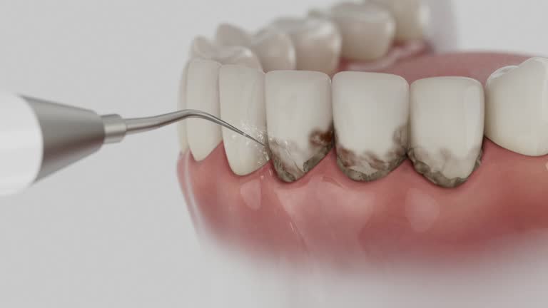 Reliable Dental contractor in Bertie County County, NC by Dentist Open Now